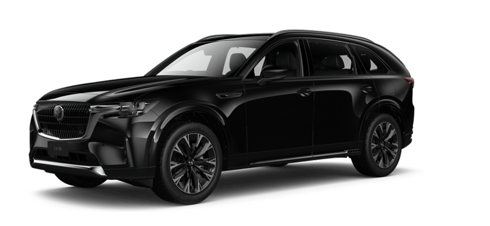 Jet Black Mica