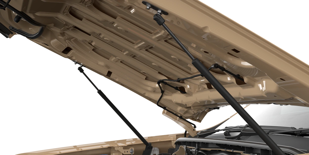 Hood Gas Struts Kit