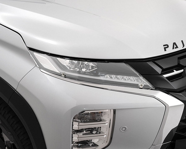 Headlight protectors