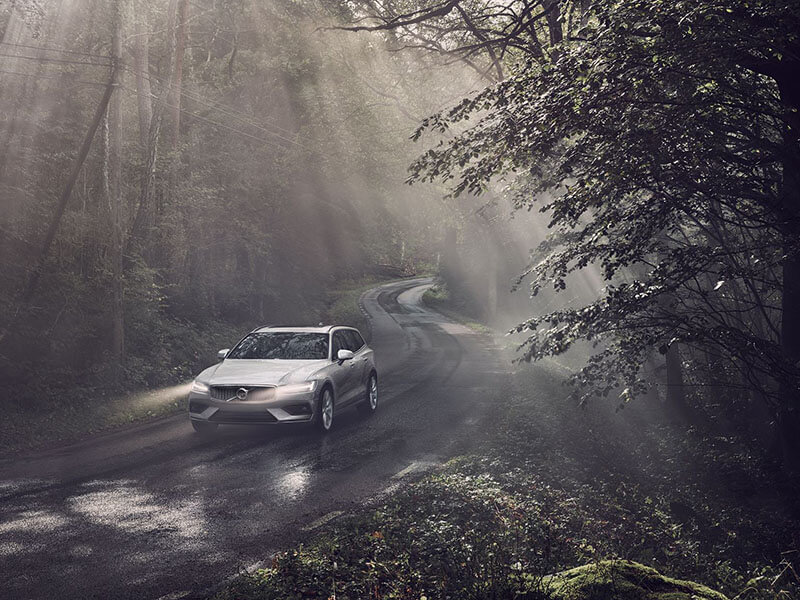 Enjoy a dynamic drive Image