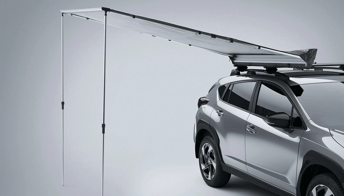 <img src=