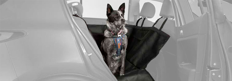 Pet Seat Cover