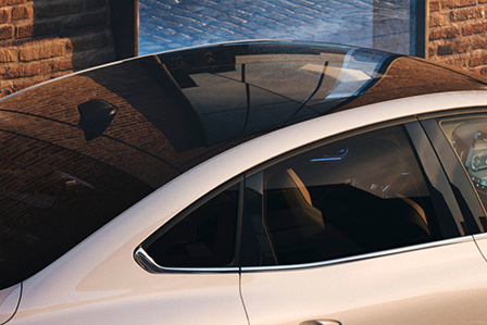 Black roof