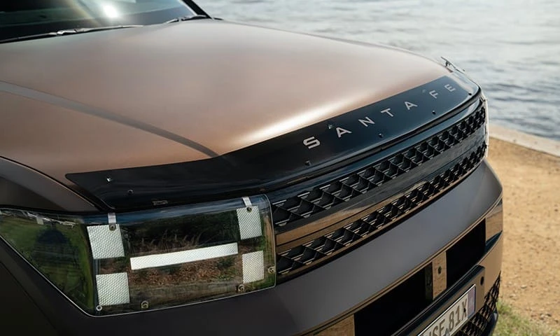 Bonnet protector | dark tint
