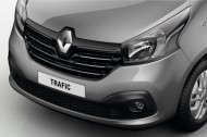 <img src="Front grille trim
