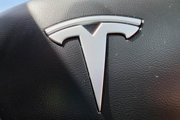 2023 Tesla Model Y  Rear-Wheel Drive SUV Image 19