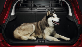 <img src="Cargo barrier