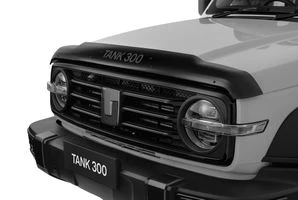 Bonnet Protector &ndash; Tinted