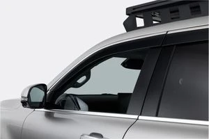 Weather Shield - Chrome