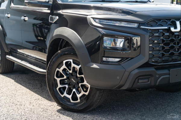 2025 JAC T9  Haven Ute