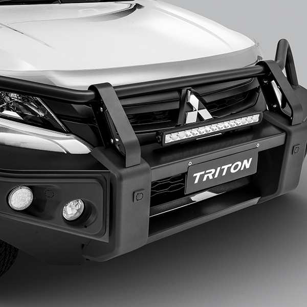 Front Protection Bar with Fog Lamps - Black