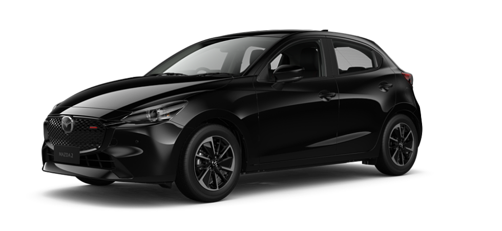 Jet Black Mica