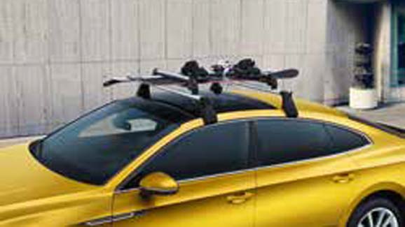 Ski and snowboard carrier