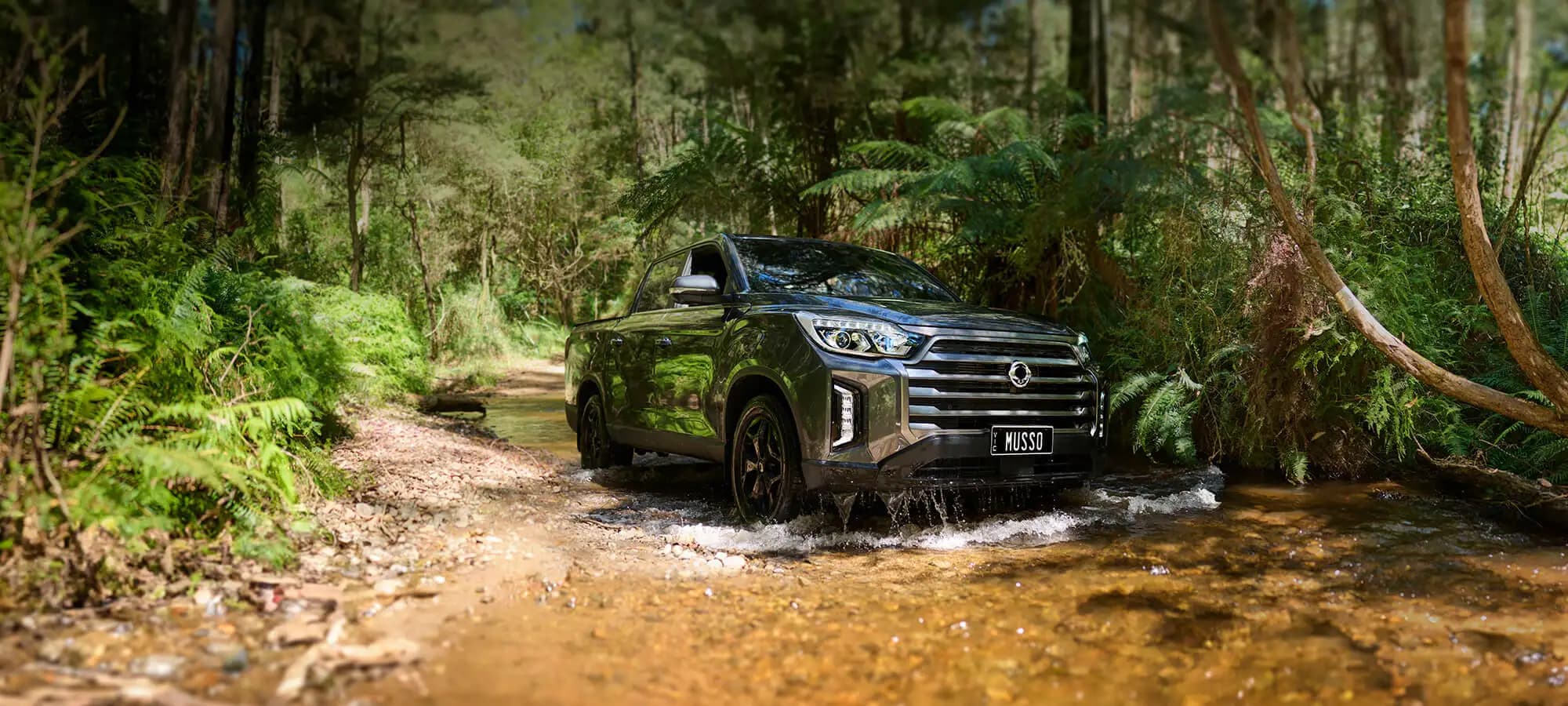 4WD pedigree Image