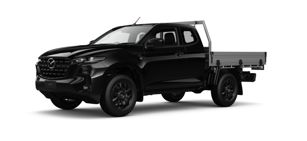 True Black Mica
