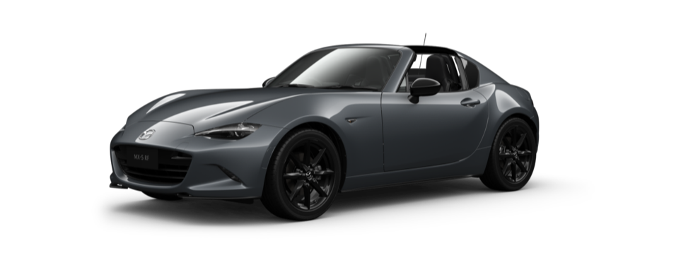 Polymetal Grey Metallic