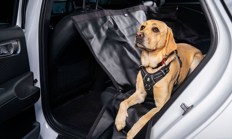 Rear seat pet cover