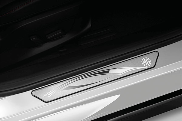 SCUFF PLATE - STANDARD