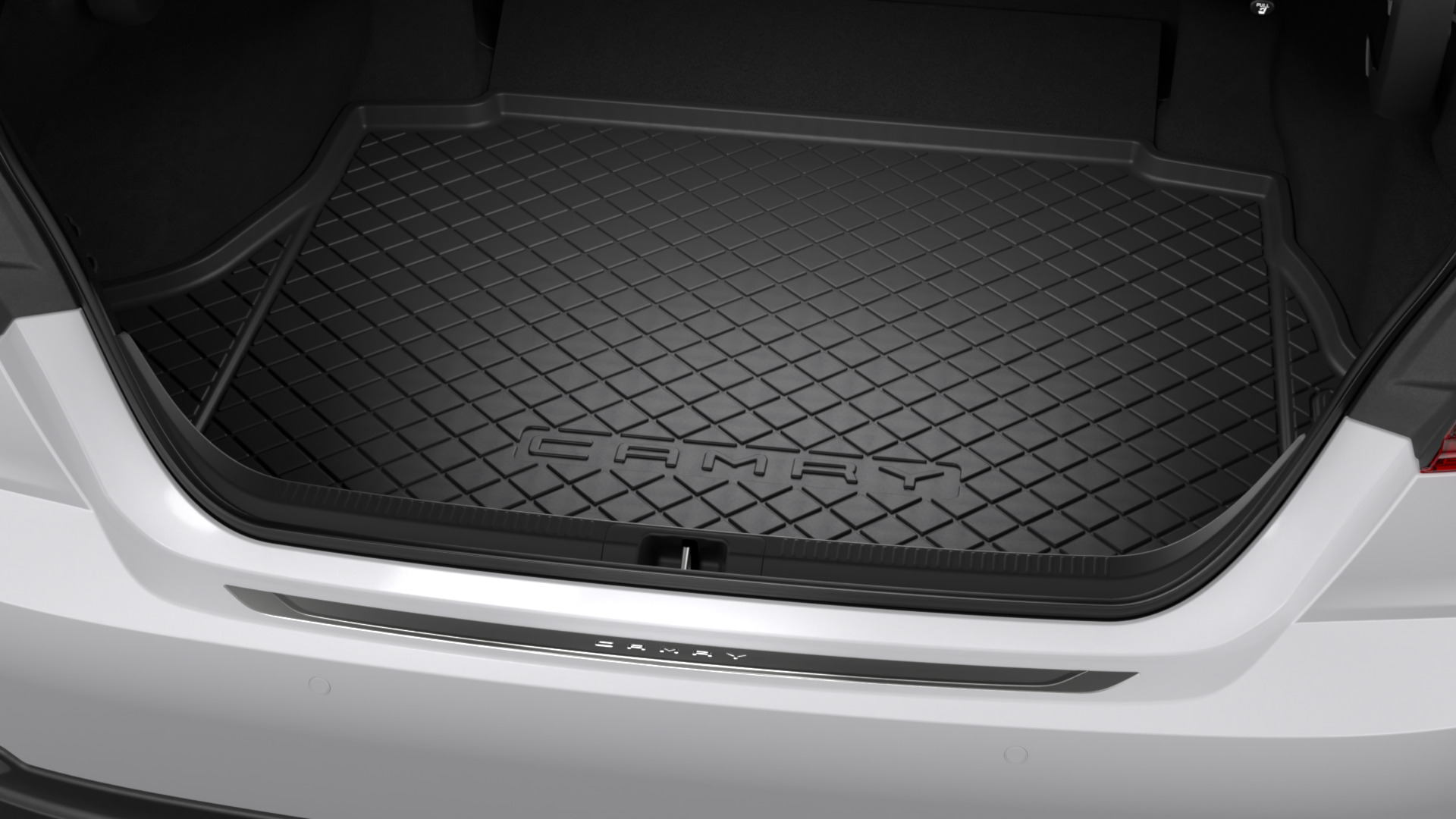 Rear Bumper Protector