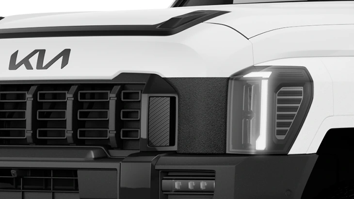 Grille - Headlight Moulding