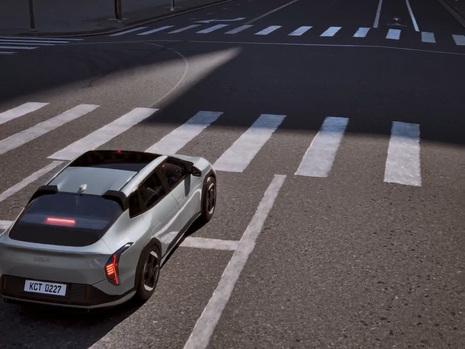 Autonomous Emergency Braking (AEB)*