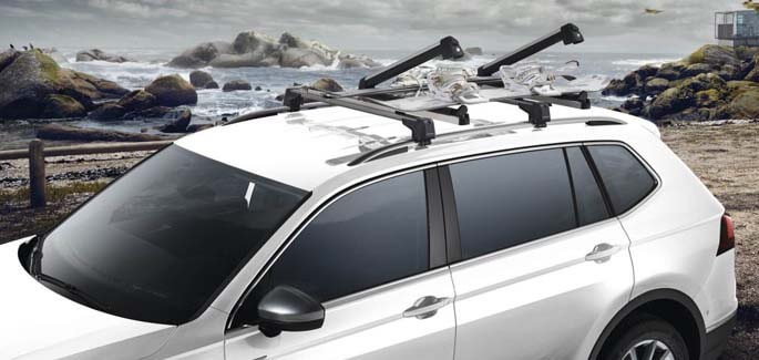 Ski and snowboard carrier