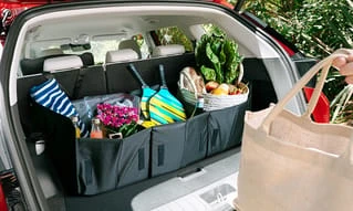 Cargo organiser