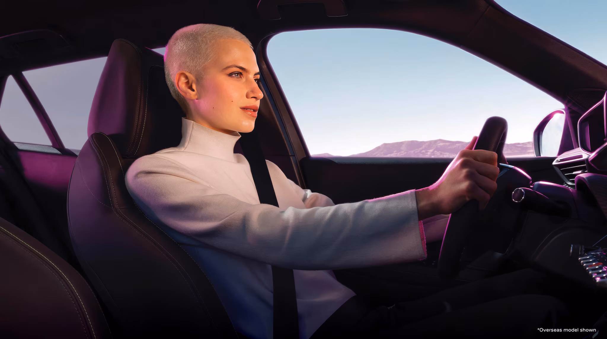 DRIVING AIDS Image