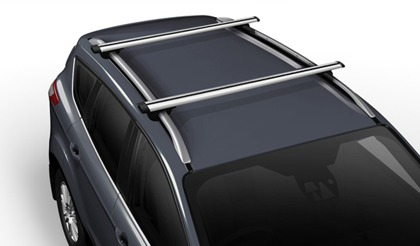 <img src="Carry bars