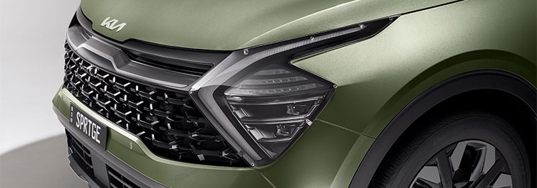 Headlamp Protectors
