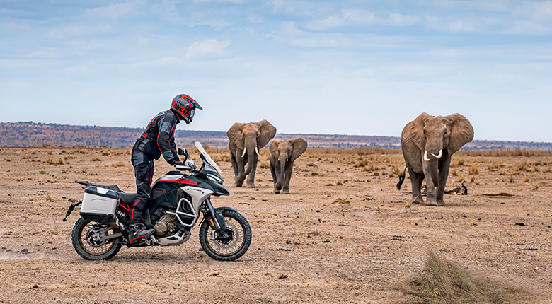 New Ducati Multistrada V4 Rally 2024 Image