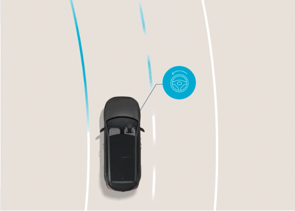 Lane Following Assist (LFA) Image