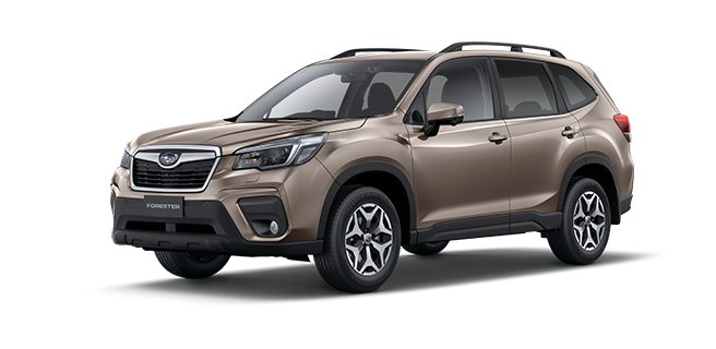 Sepia Bronze Metallic