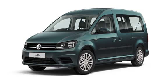 Bamboo Garden Metallic