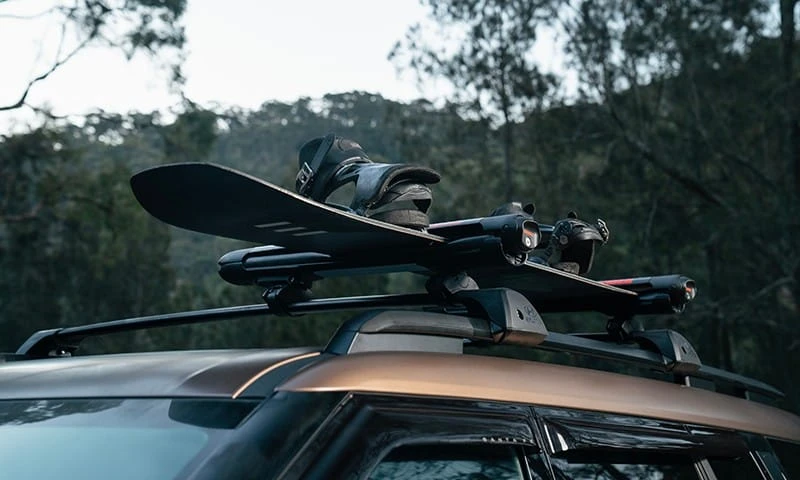Ski & snowboard carrier