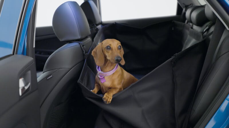 Rear seat pet cover