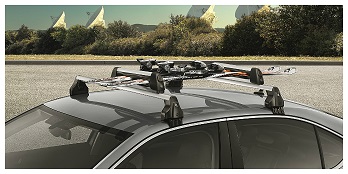 Lockable Ski & Snowboard Holder (Silver)