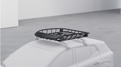 Roof basket