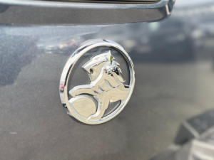 2019 Holden Colorado RG LTZ Crew Cab Pickup