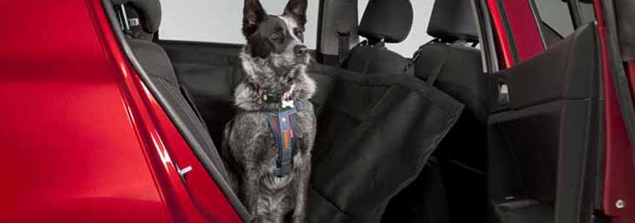 Pet Seat Cover