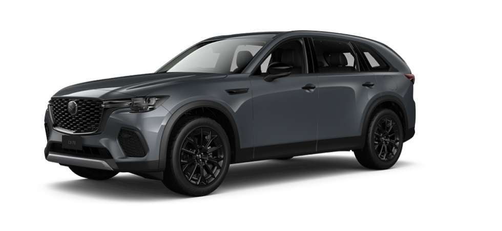 Polymetal Grey Metallic