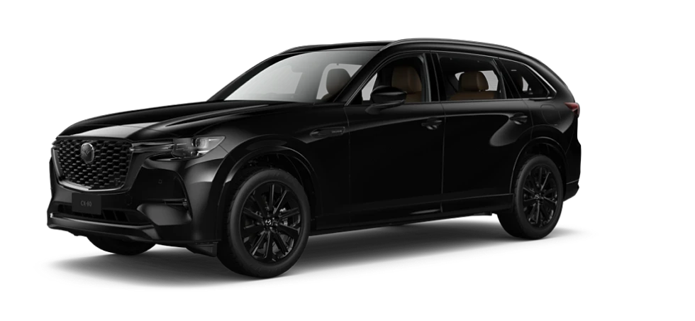 Jet Black Mica