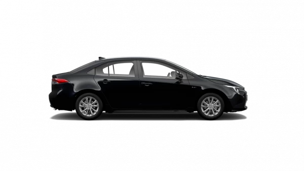 Ascent Sport