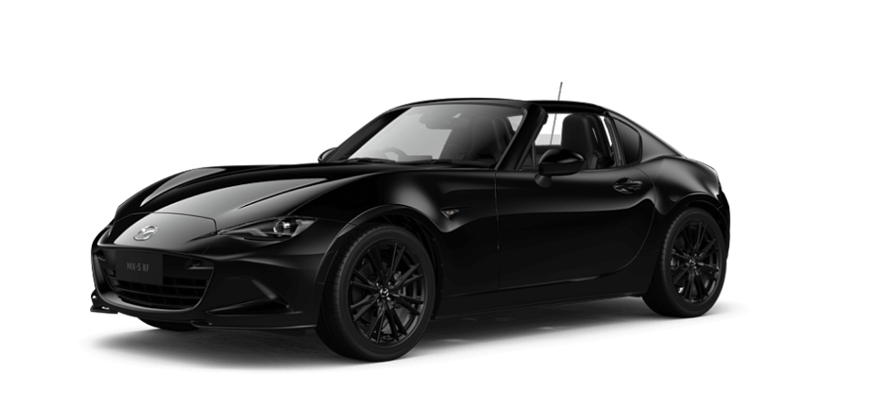 Jet Black Mica