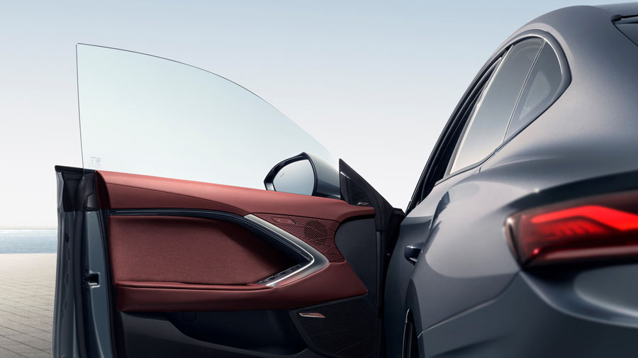 Frameless Doors Image