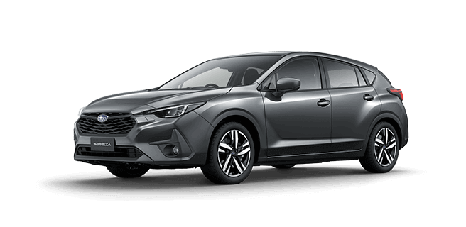 Magnetite Grey Metallic