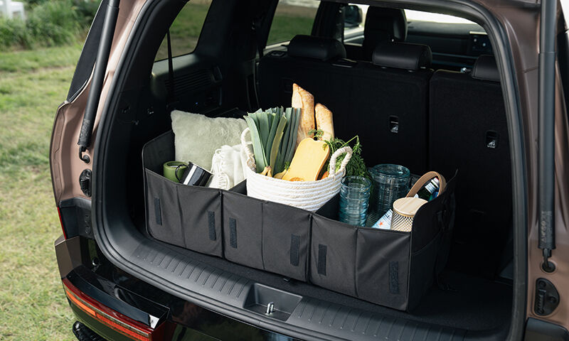 Cargo organiser