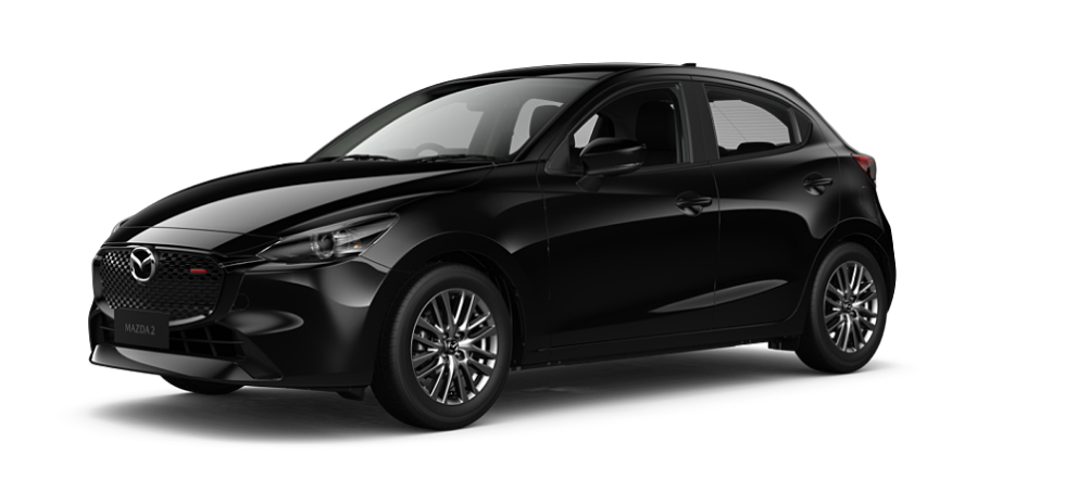 Jet Black Mica