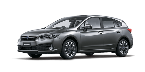 Magnetite Grey Metallic