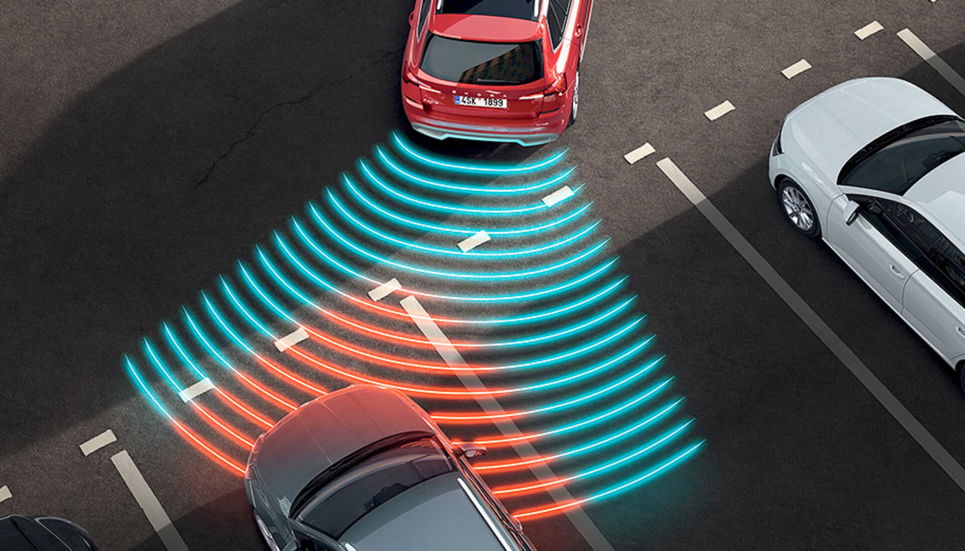 Kamiq Rear Parking Sensors